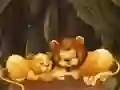 Juego Divertido rompecabezas de animales del zoológico en línea Juego Divertido rompecabezas de animales del zoológico en línea