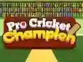 Juego Campeón Pro de Cricket en línea