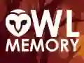 Juego Memoria de Búho en línea Juego Memoria de Búho en línea