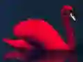 Juego Rompecabezas de Pájaros de Amor en línea Juego Rompecabezas de Pájaros de Amor en línea
