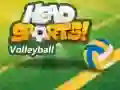 Juego Voleibol Head Sports en línea