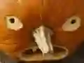 Juego 5 en 1 Rompecabezas de Imágenes: Halloween en línea Juego 5 en 1 Rompecabezas de Imágenes: Halloween en línea