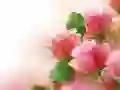 Juego Rosas Rosadas en línea Juego Rosas Rosadas en línea