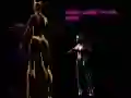 Juego Dama Lagarto Contra Los Gatos en línea Juego Dama Lagarto Contra Los Gatos en línea