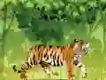 Juego Coloración Tigre Enojado en línea