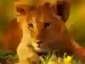 Juego Rompecabezas de Animales Bebés Salvajes en línea