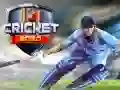 Juego Cricket 2020 en línea Juego Cricket 2020 en línea