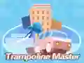 Juego Maestro del trampolín en línea Juego Maestro del trampolín en línea