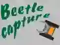 Juego Captura de escarabajo en línea Juego Captura de escarabajo en línea