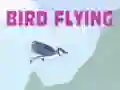 Juego Vuelo de pájaro en línea