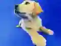 Juego Rompecabezas de Gatos y Perros Divertidos en línea Juego Rompecabezas de Gatos y Perros Divertidos en línea