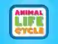 Juego Ciclo de vida animal en línea Juego Ciclo de vida animal en línea
