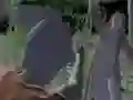 Juego Cuerpo No Muerto CH4. Fin de la Caza en línea Juego Cuerpo No Muerto CH4. Fin de la Caza en línea