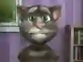 Juego Talking Tom: Tiempo Divertido en línea