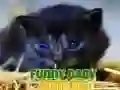 Juego Animales Bebés Divertidos en línea Juego Animales Bebés Divertidos en línea