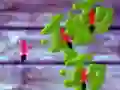 Juego Aplastar Hormigas en línea Juego Aplastar Hormigas en línea