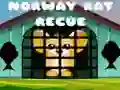 Juego Rescate de ratas de Noruega en línea Juego Rescate de ratas de Noruega en línea