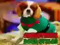 Juego Estilos de Perros de Navidad en línea Juego Estilos de Perros de Navidad en línea