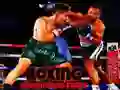 Juego Lucha de Campeones de Boxeo en línea Juego Lucha de Campeones de Boxeo en línea
