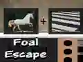 Juego Escape del potro en línea
