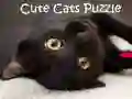 Juego Rompecabezas de Gatos Lindos en línea Juego Rompecabezas de Gatos Lindos en línea