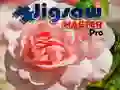 Juego Maestro del Rompecabezas Pro en línea Juego Maestro del Rompecabezas Pro en línea