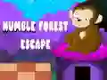 Juego Escape del bosque humilde en línea Juego Escape del bosque humilde en línea