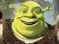 Juego Colección de Rompecabezas de Shrek en línea