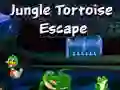 Juego Escape de la Tortuga de la Selva en línea Juego Escape de la Tortuga de la Selva en línea