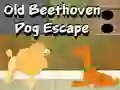 Juego Escape del viejo perro Beethoven en línea