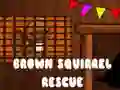 Juego Rescate de la ardilla marrón en línea
