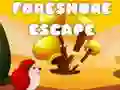 Juego Escape de la costa en línea Juego Escape de la costa en línea