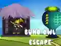 Juego Escape del búho Buho en línea Juego Escape del búho Buho en línea