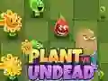 Juego Plantas vs No Muertos en línea Juego Plantas vs No Muertos en línea