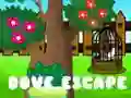 Juego Escape de la paloma en línea Juego Escape de la paloma en línea