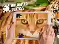 Juego Rompecabezas ilimitados en línea Juego Rompecabezas ilimitados en línea
