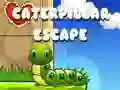 Juego Escape de Oruga en línea