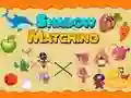 Juego Emparejamiento de Sombra en línea