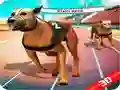 Juego Carrera de perros locos en línea Juego Carrera de perros locos en línea