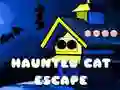 Juego Escape del Gato Embrujado en línea Juego Escape del Gato Embrujado en línea