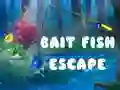 Juego Escape del pez cebo en línea Juego Escape del pez cebo en línea