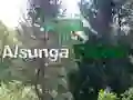 Juego Regreso al bosque de Alsunga en línea Juego Regreso al bosque de Alsunga en línea