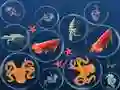 Juego Fusión de Peces del Océano en línea