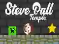 Juego Templo de Steve Ball en línea