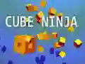 Juego Ninja Cubo en línea Juego Ninja Cubo en línea