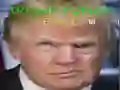 Juego Cara Divertida de Trump en línea