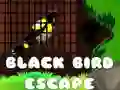 Juego Escape del Pájaro Negro en línea Juego Escape del Pájaro Negro en línea