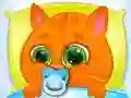 Juego Gato Virtual Encantador en línea