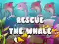 Juego Rescata a la ballena en línea Juego Rescata a la ballena en línea