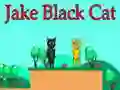 Juego Jake Gato Negro en línea
